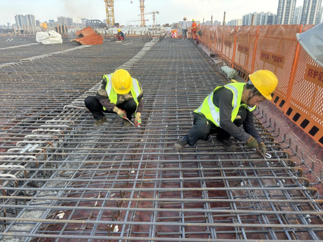 1754035392143360.png 9783e4bd0ae6dd284d950e576d12b83c_640_wx_fmt=png&from=appmsg&randomid=iu1cay5h&tp=webp&wxfrom=5&wx_lazy=1.png